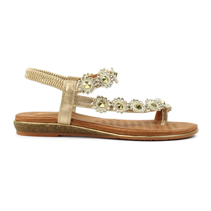 Charlotte II Gold Sandal