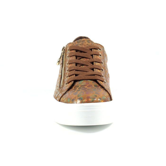 Charm Bronze Trainer