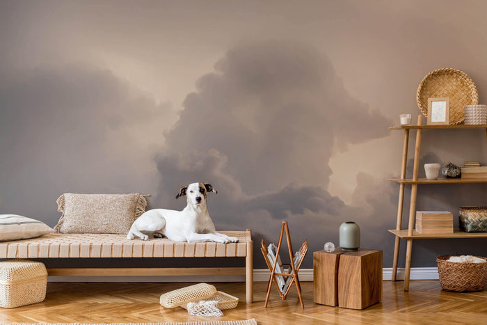 Cloud Play Wall Mural-Wall Mural-Eazywallz