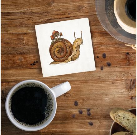 Coaster Snail