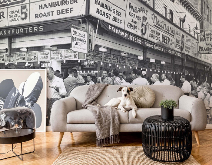 Coney Island Wall Mural-Wall Mural-Eazywallz