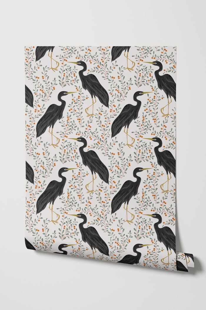 Cranes / Black