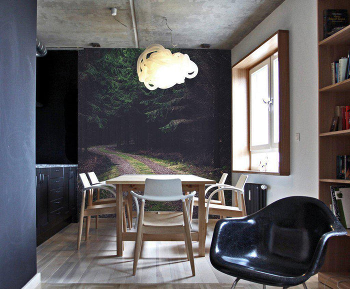 Dark Forest Trail Wall Mural-Wall Mural-Eazywallz