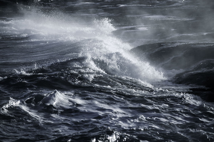 Dark Tide