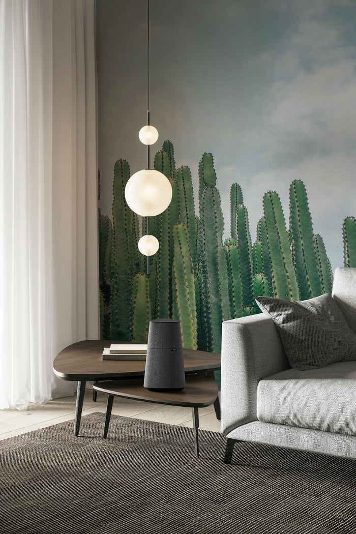 Desert Cactus