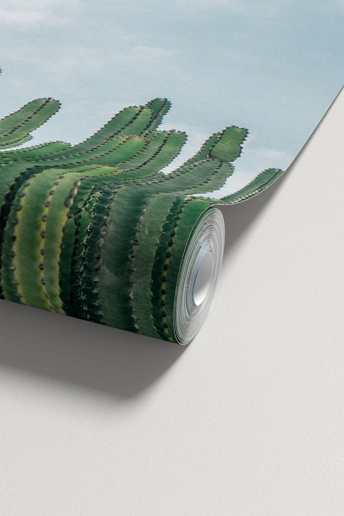 Desert Cactus