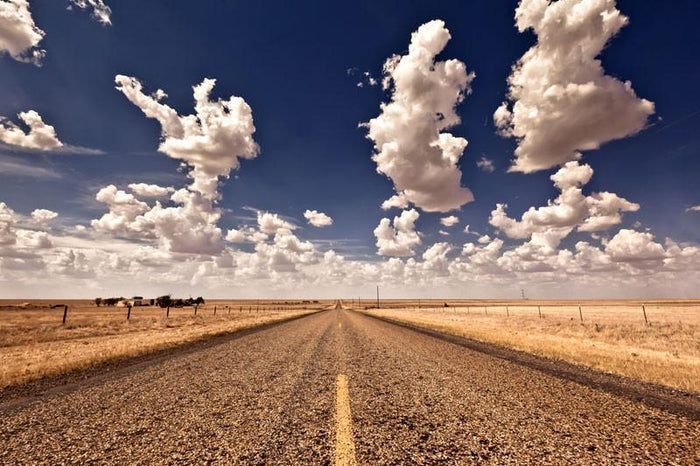 Desert Road Trip Wall Mural-Wall Mural-Eazywallz
