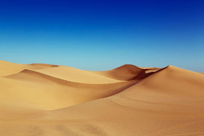 Desert Under Blue Sky Wall Mural-Wall Mural-Eazywallz