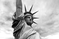 Detail of the Statue of Liberty Wall Mural-Wall Mural-Eazywallz