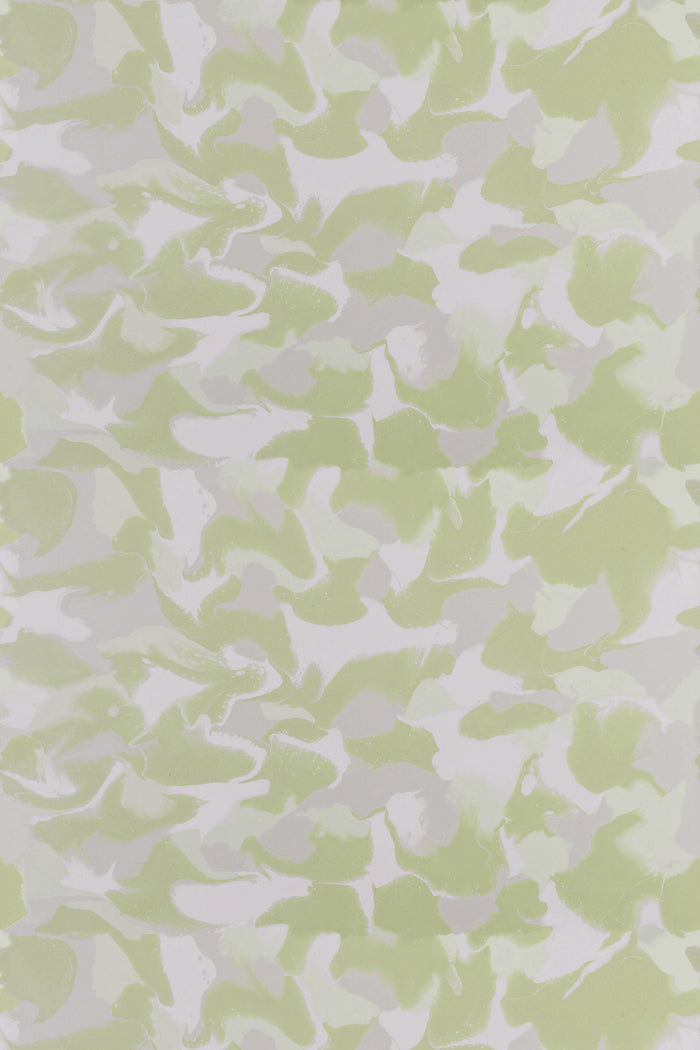 Dione / Olive