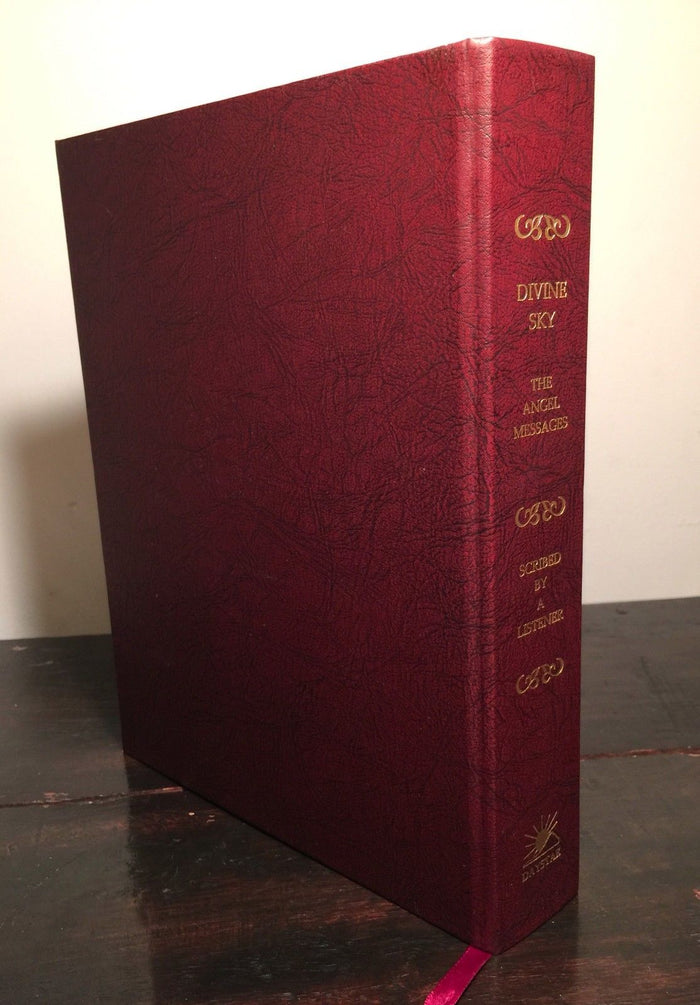 DIVINE SKY THE ANGEL MESSAGES Cynthia Rose Young, 1st/1st 2008 HC Signed New Age
