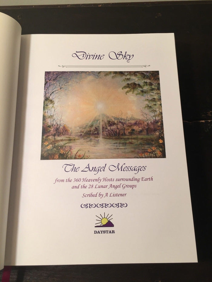 DIVINE SKY THE ANGEL MESSAGES Cynthia Rose Young, 1st/1st 2008 HC Signed New Age