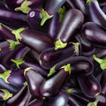 Double Sided Cotton Blanket - Food Festival Eggplant Cotton