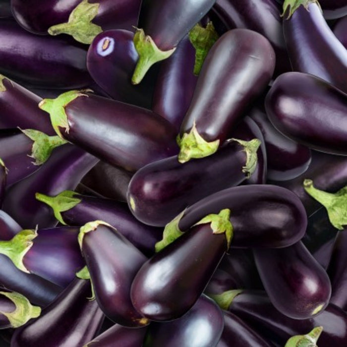 Double Sided Cotton Blanket - Food Festival Eggplant Cotton