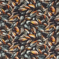 Double Sided Cotton Blanket - Food Festival Mussels Shells Cotton