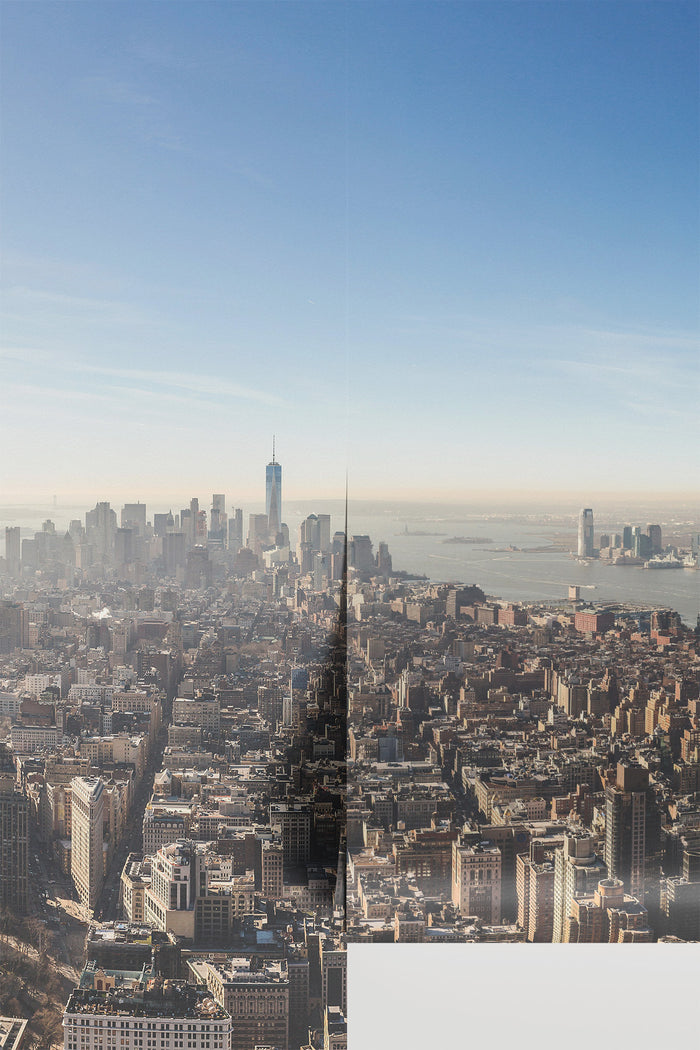 Downtown NYC Skyline