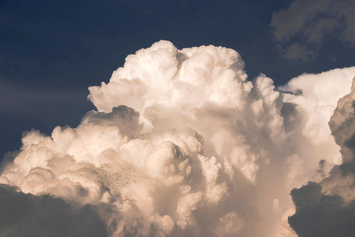 Dramatic Clouds Wall Mural-Wall Mural-Eazywallz