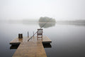 Early morning on the lake Wall Mural-Wall Mural-Eazywallz