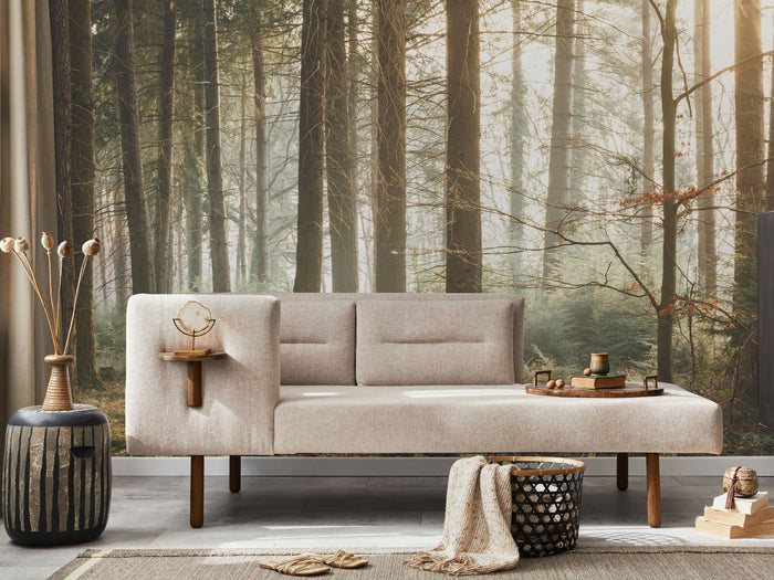 Early Morning Sun Light Forest Wall Mural