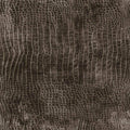 Eclectic Elements Worn Croc Hickory Yardage PWTH020-HICKORY