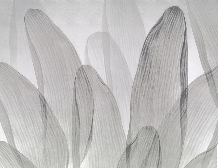 Elowen / Graphite wall mural