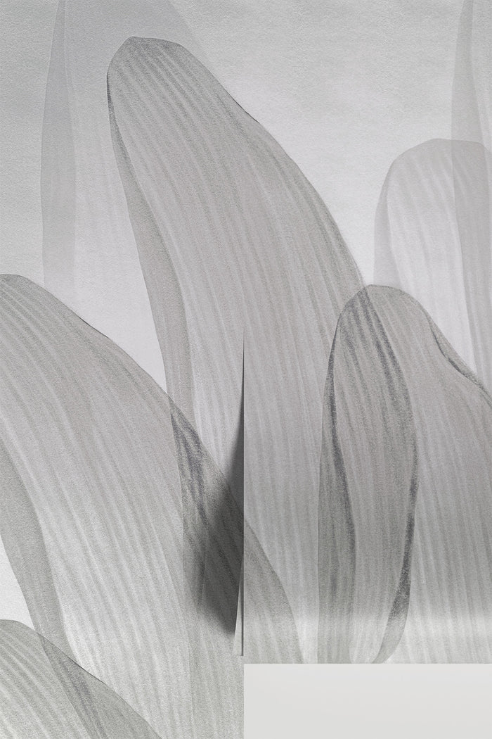 Elowen / Graphite wall mural