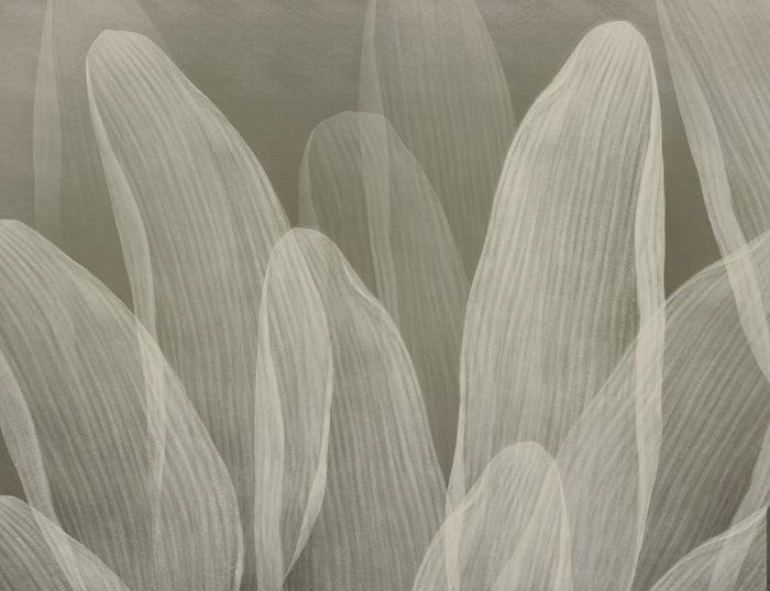 Elowen / Taupe wall mural.