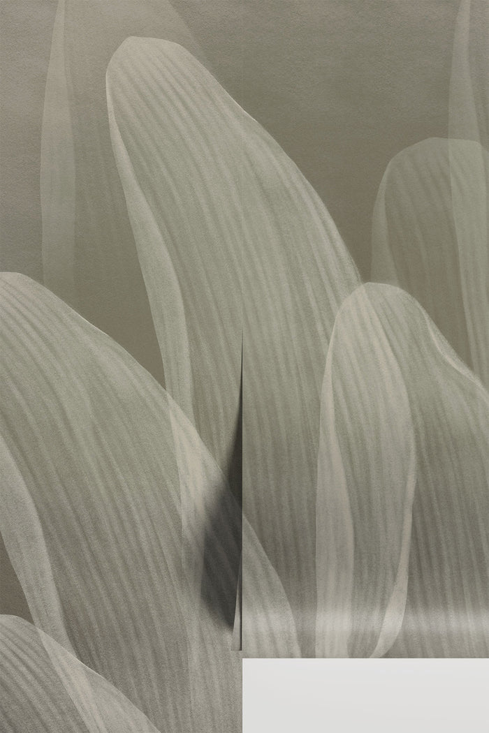 Elowen / Taupe, an abstract botanical pattern of wavy lines