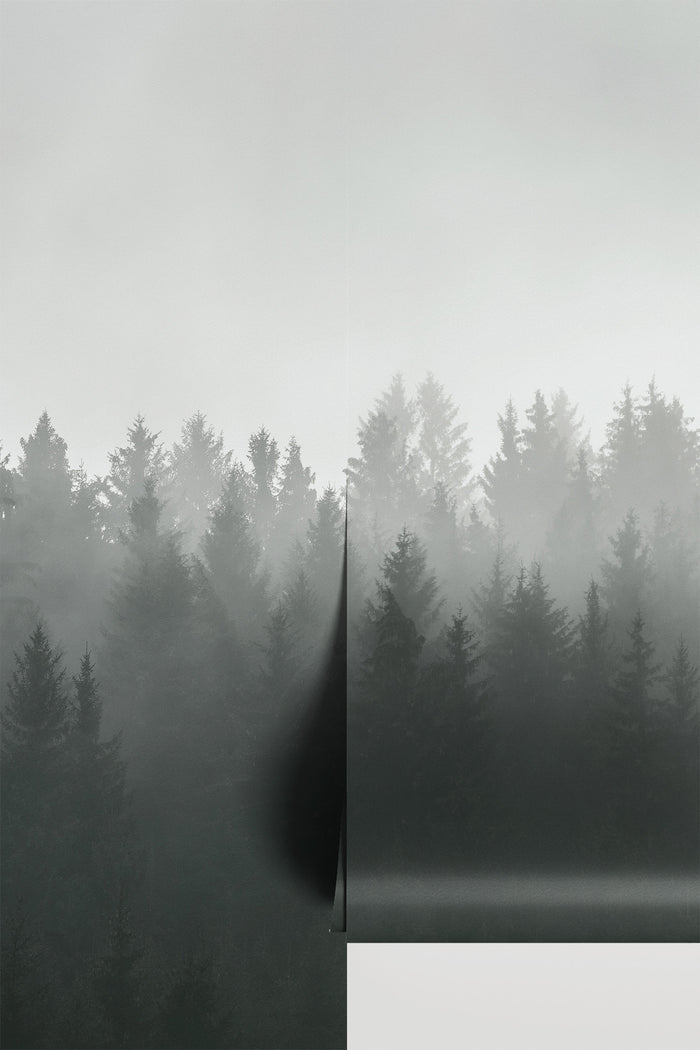 Evermist Forest