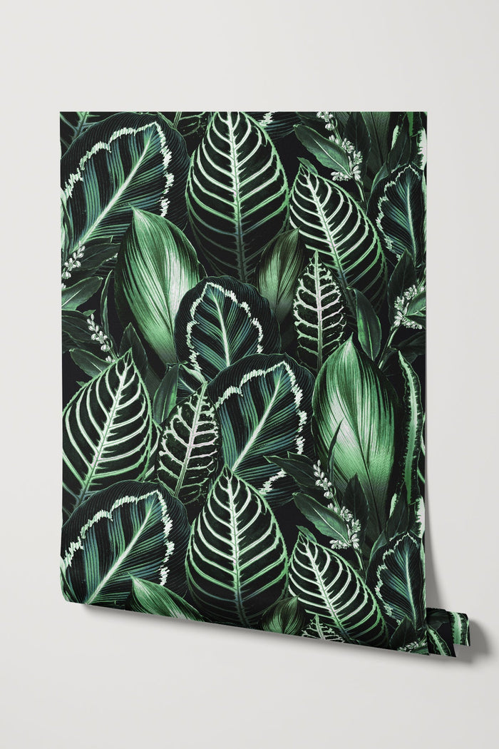Fago Rain / Green
