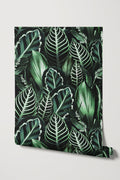 Fago Rain / Green