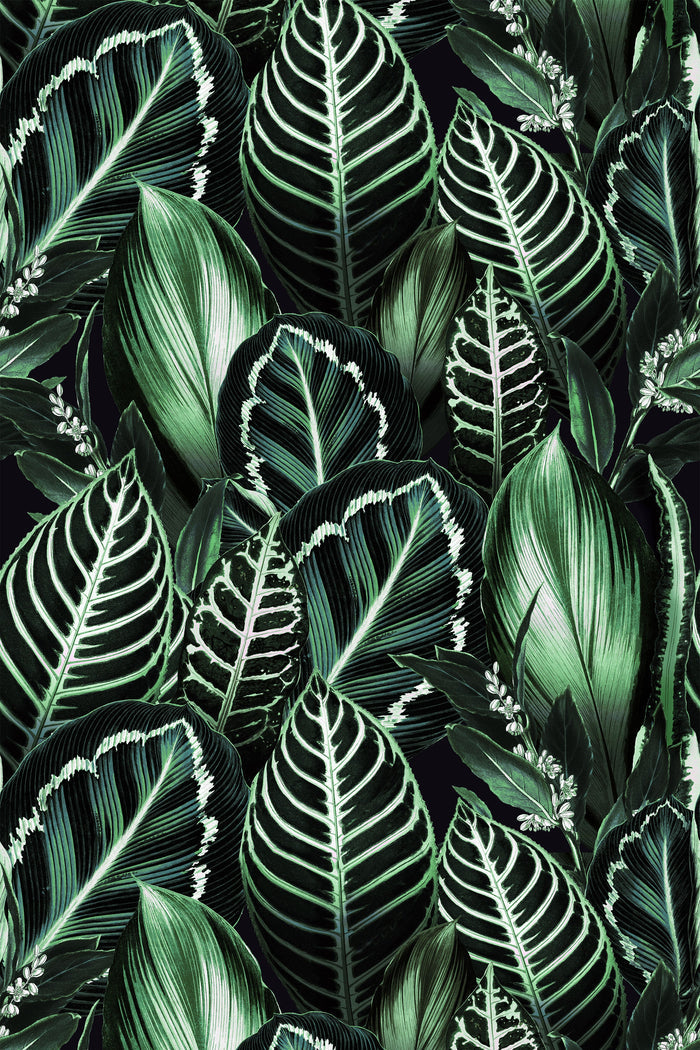 Fago Rain / Green