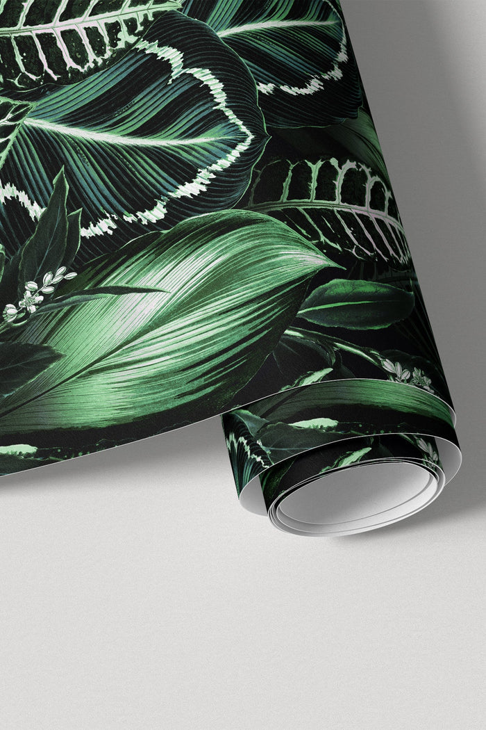 Fago Rain / Green