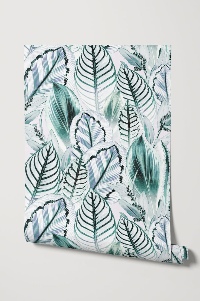 Fago Rain / Teal