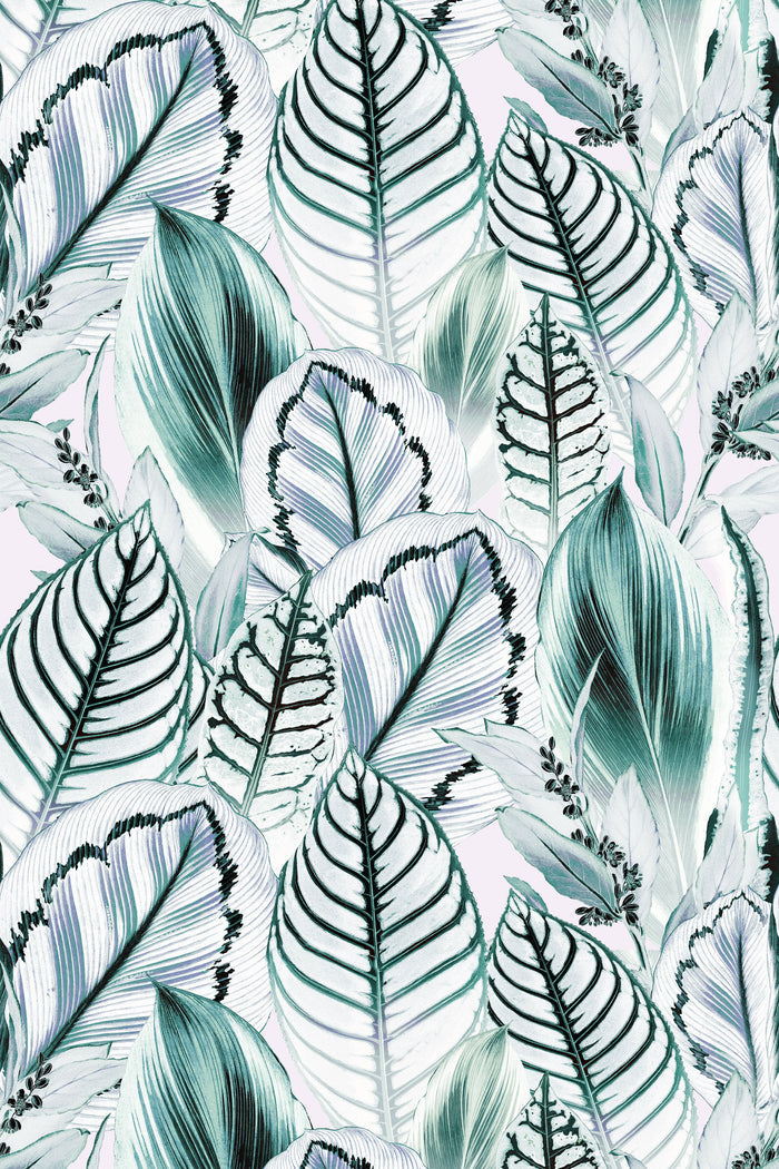 Fago Rain / Teal
