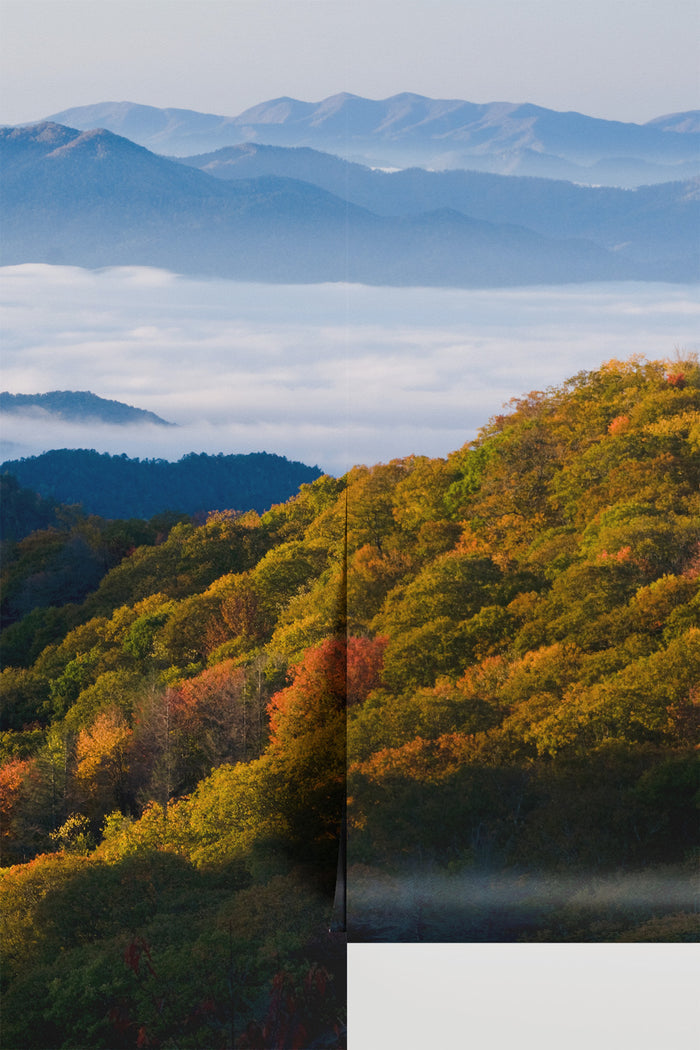 Fall Colors in the Mountains