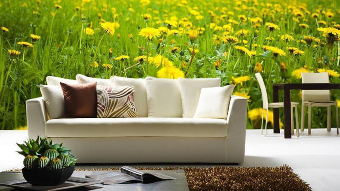 Field of Dandelions Wall Mural-Wall Mural-Eazywallz
