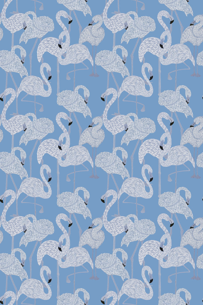 Flamingos / Blue