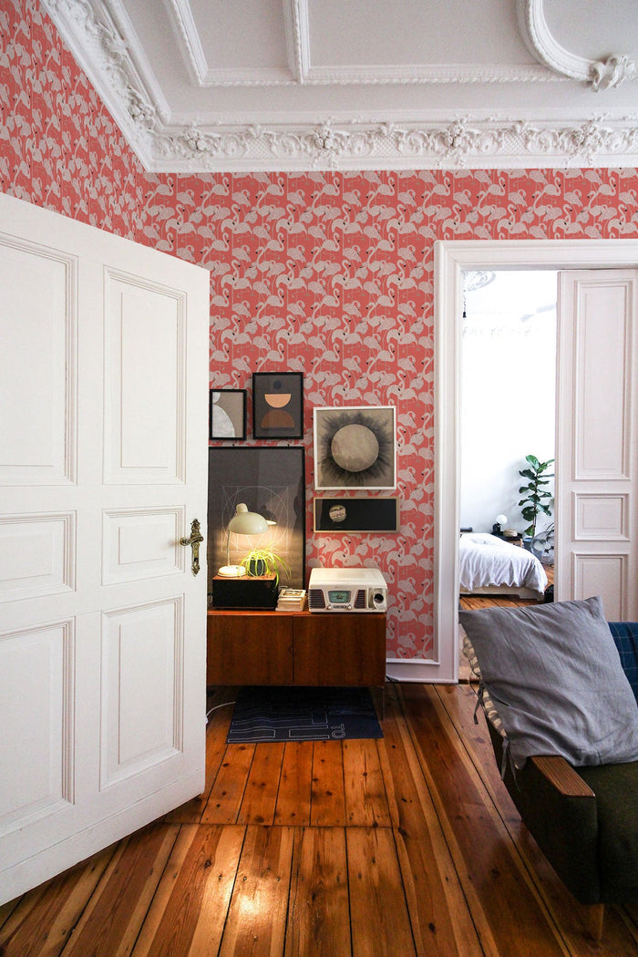 Flamingos / Coral