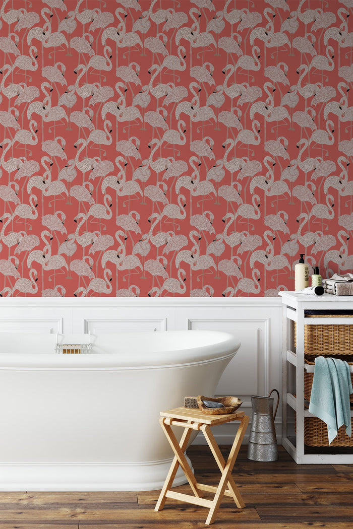 Flamingos / Coral