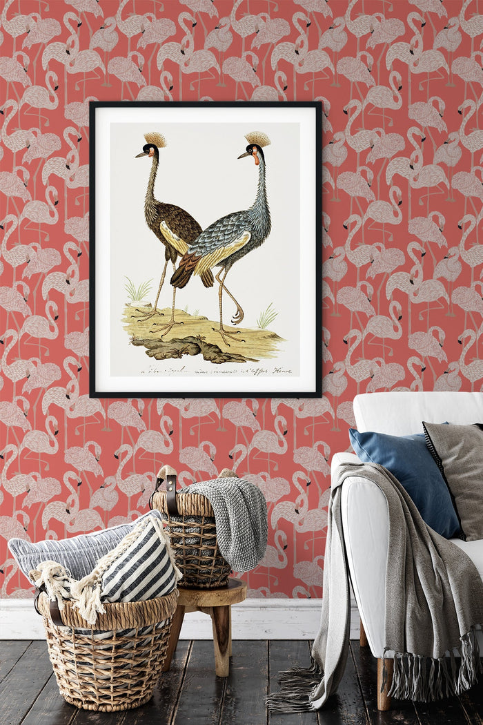 Flamingos / Coral
