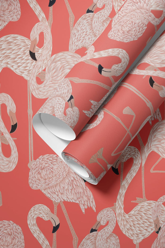 Flamingos / Coral