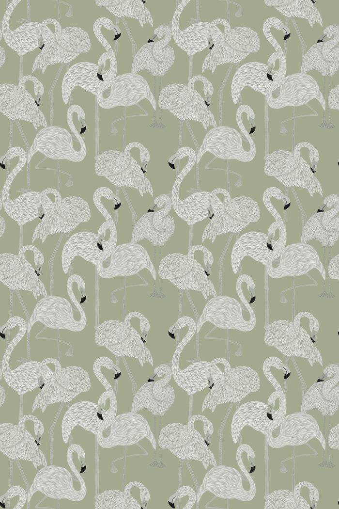 Flamingos / Sage