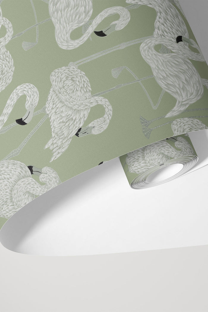 Flamingos / Sage