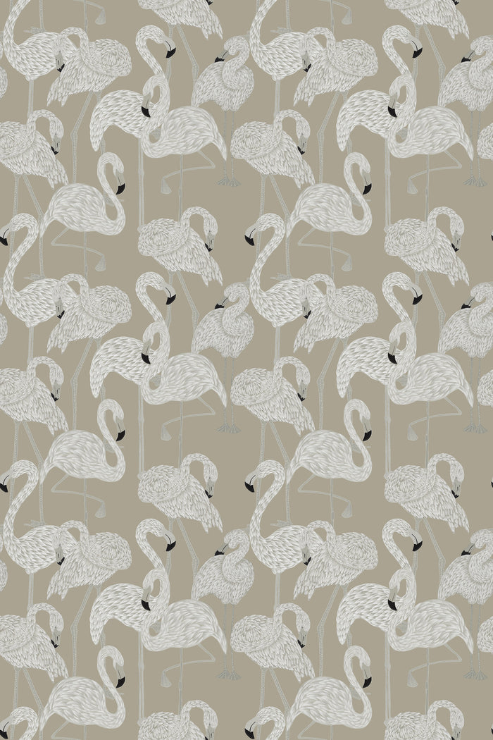 Flamingos / Sepia