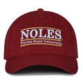 Florida State Dad Caps