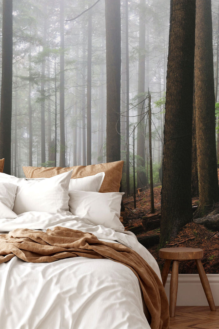 Foggy Forest & Hiking Trail