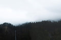 Forest Tree Line 2 Wall Mural-Wall Mural-Eazywallz