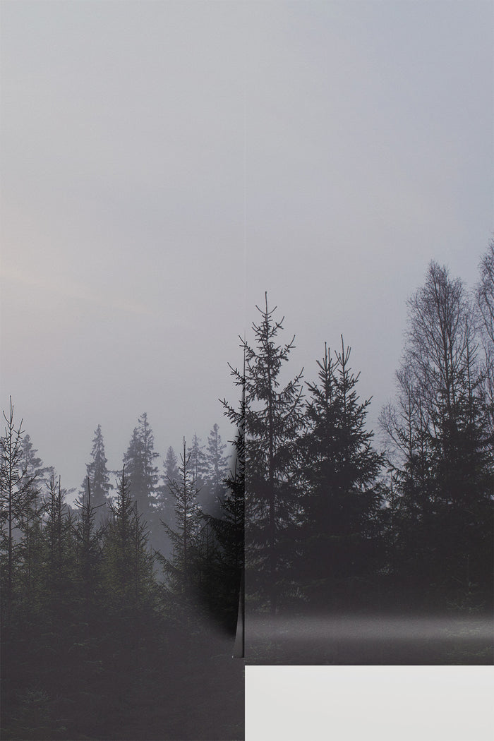 Forest Tree Line