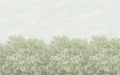 Garden Treeline